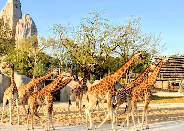 Dernier Etage, 108m2, Vue Panoramique Lägenhet